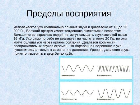 Пределы восприятия звуков человеческим ухом