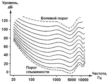 Диапазон человеческого слуха
