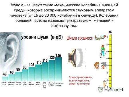 Механизм восприятия звука