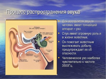 Механизм восприятия звука схема
