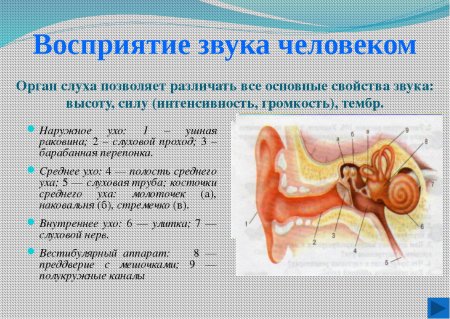 Порог слуховой чувствительности в ДБ