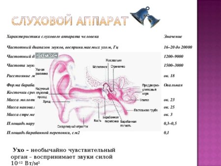 Анализатор усиливающий звуковые колебания
