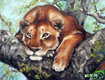 Животные рисунки