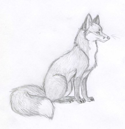 Рисунок лисы
