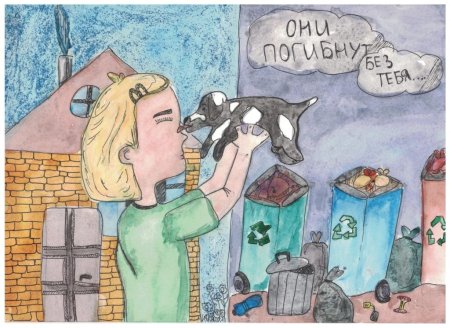 Бездомные животные рисунок