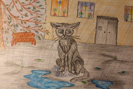 Рисунок на тему бездомные животные