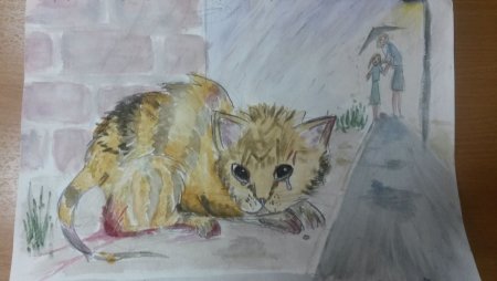 Рисунки бездомных животных
