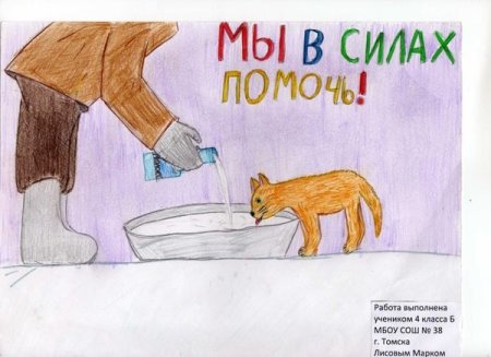 Рисунки на тему бережное отношение к животным