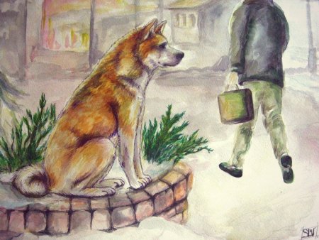 Рисунок на тему защита бездомных животных