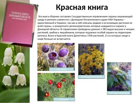 Растения красной книги России