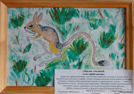 Растения и животные которые внесены в красную книгу России