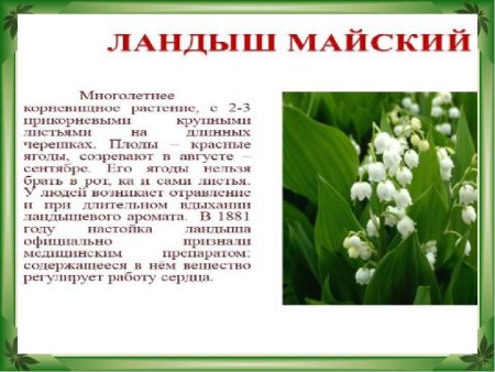 Животные и ОА тения красной книги