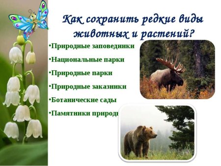 Красная книга России. Животные