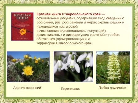 Доклад красная книга Краснодарского края