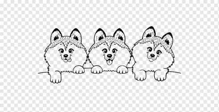 Раскраски собачки хаски