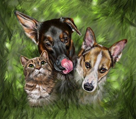 Овчарка и кошка арт