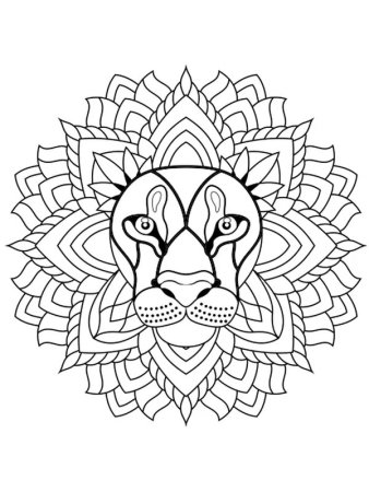 Раскраска антистресс