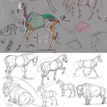 Дикие животные задания для детей