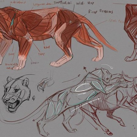 Кошка сбоку референс