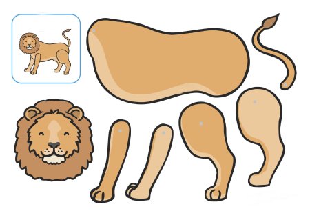 Анатомия собаки референс