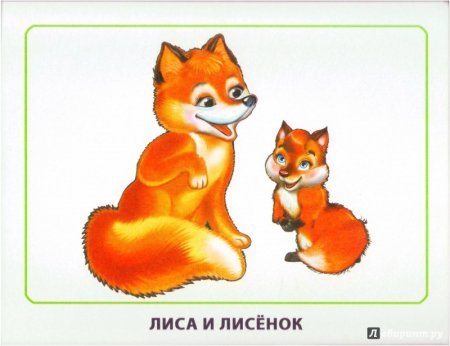 Животные для малышей лиса