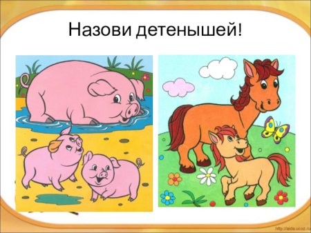 Назови детенышей