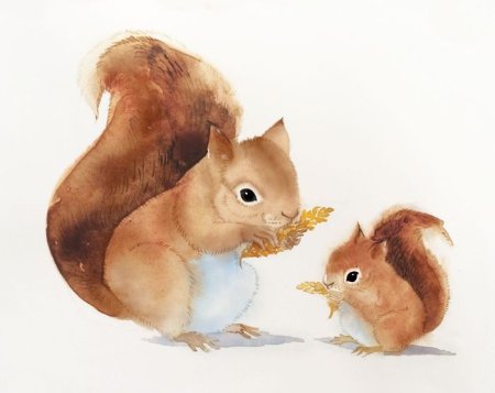 Белка мама и детеныш