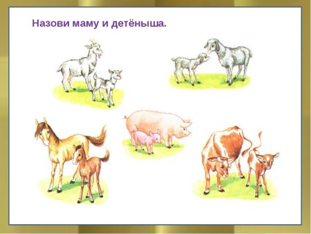 Домашние животные и их Детеныши