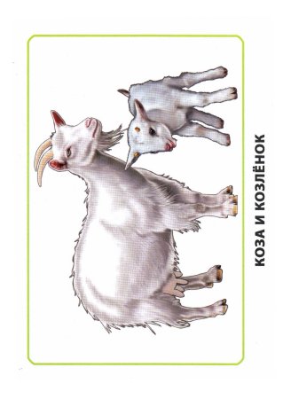 Карточки мамы и детки