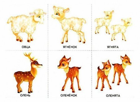 Карточки для детей животные и их Детеныши