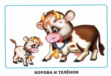 Мамы и Детеныши домашних животных