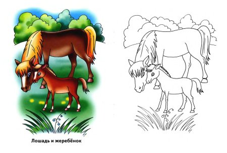 Лошадь с жеребенком раскраска для детей