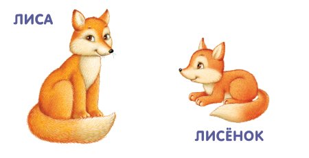 Карточки животные и их Детеныши