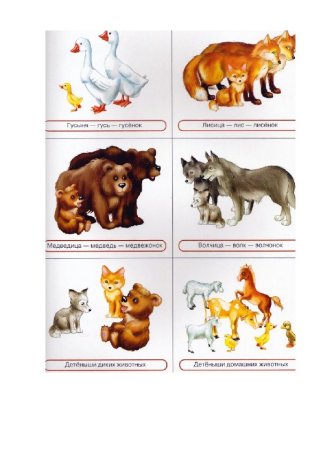 Животные и Детеныши для детей