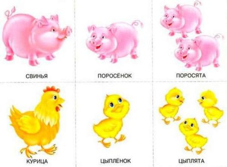 Карточки с изображением домашних животных