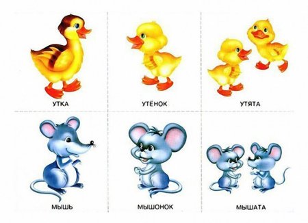 Где чьи малыши развивающие карточки для детей