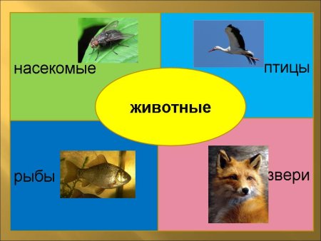 Птицы, рыбы и звери