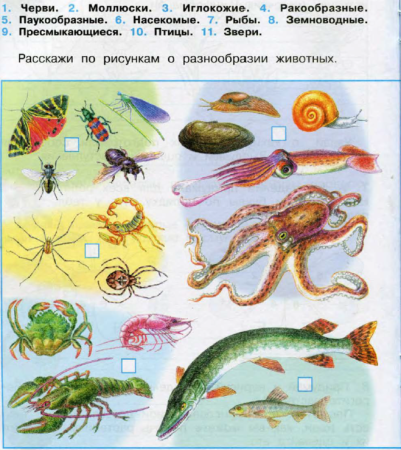 Окружающий мир 3 класс рабочая тетрадь 1 часть Плешаков мир животных