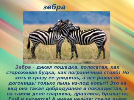 Доклад про животных