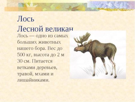 Лось красная книга