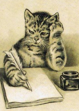 Кот поэт