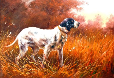 Картина собаки