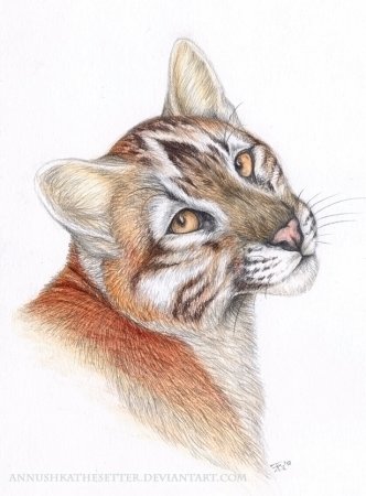 Карандаши цветные "животные"