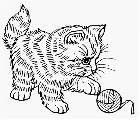 Раскраска кошка с клубком