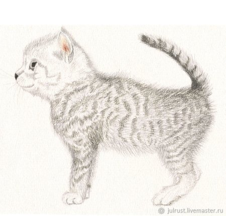 Рисунки серым карандашом