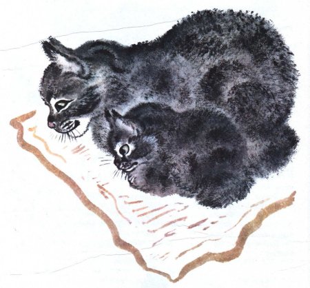 Евгений Чарушин иллюстратор