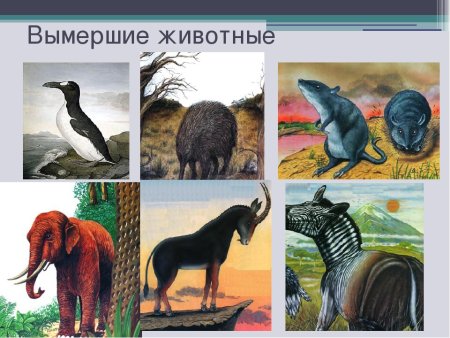 Раскраски вымерших животных
