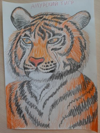 Яванский тигр Туранский