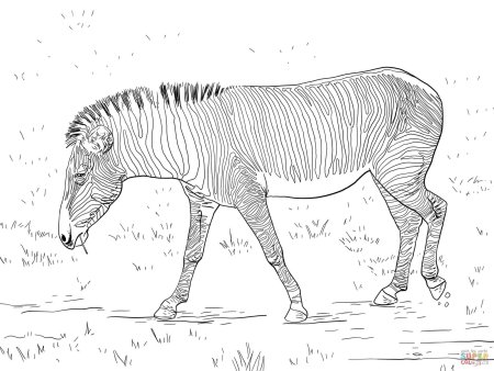 Исчезающие животные