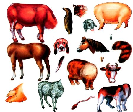 Домашние и Дикие животные для детей